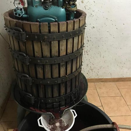 Agriturismo Il Melo Valfabbrica Экстерьер фото