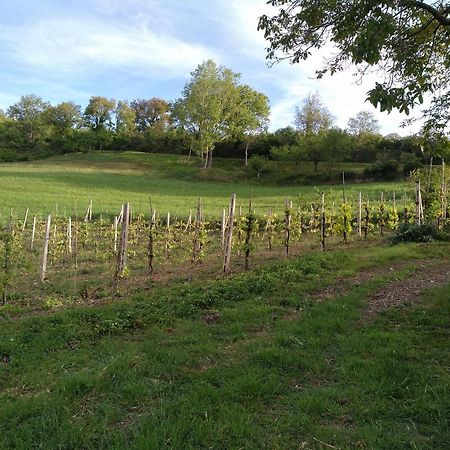Agriturismo Il Melo Valfabbrica Экстерьер фото