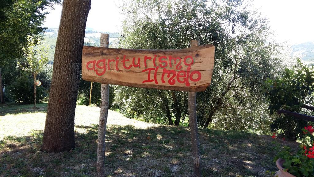 Agriturismo Il Melo Valfabbrica Экстерьер фото