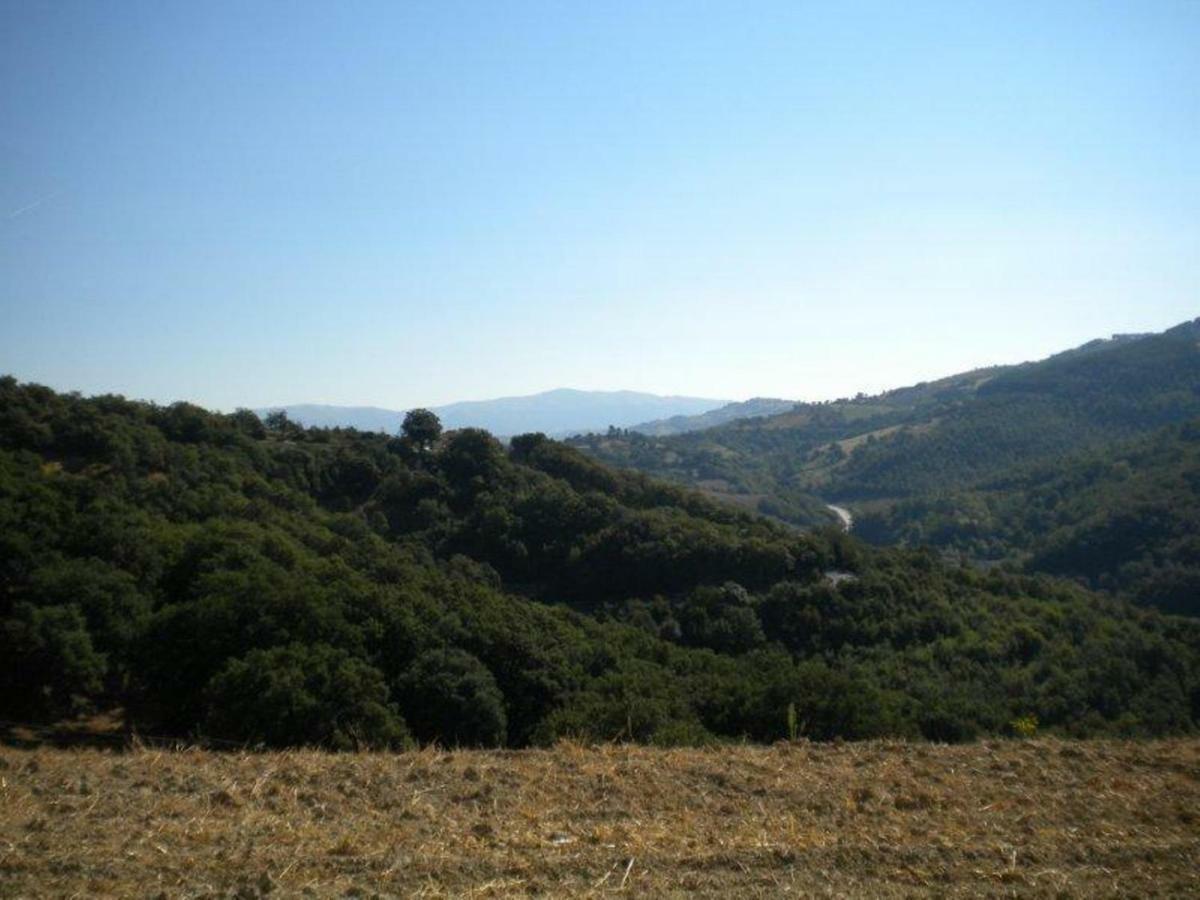 Agriturismo Il Melo Valfabbrica Экстерьер фото