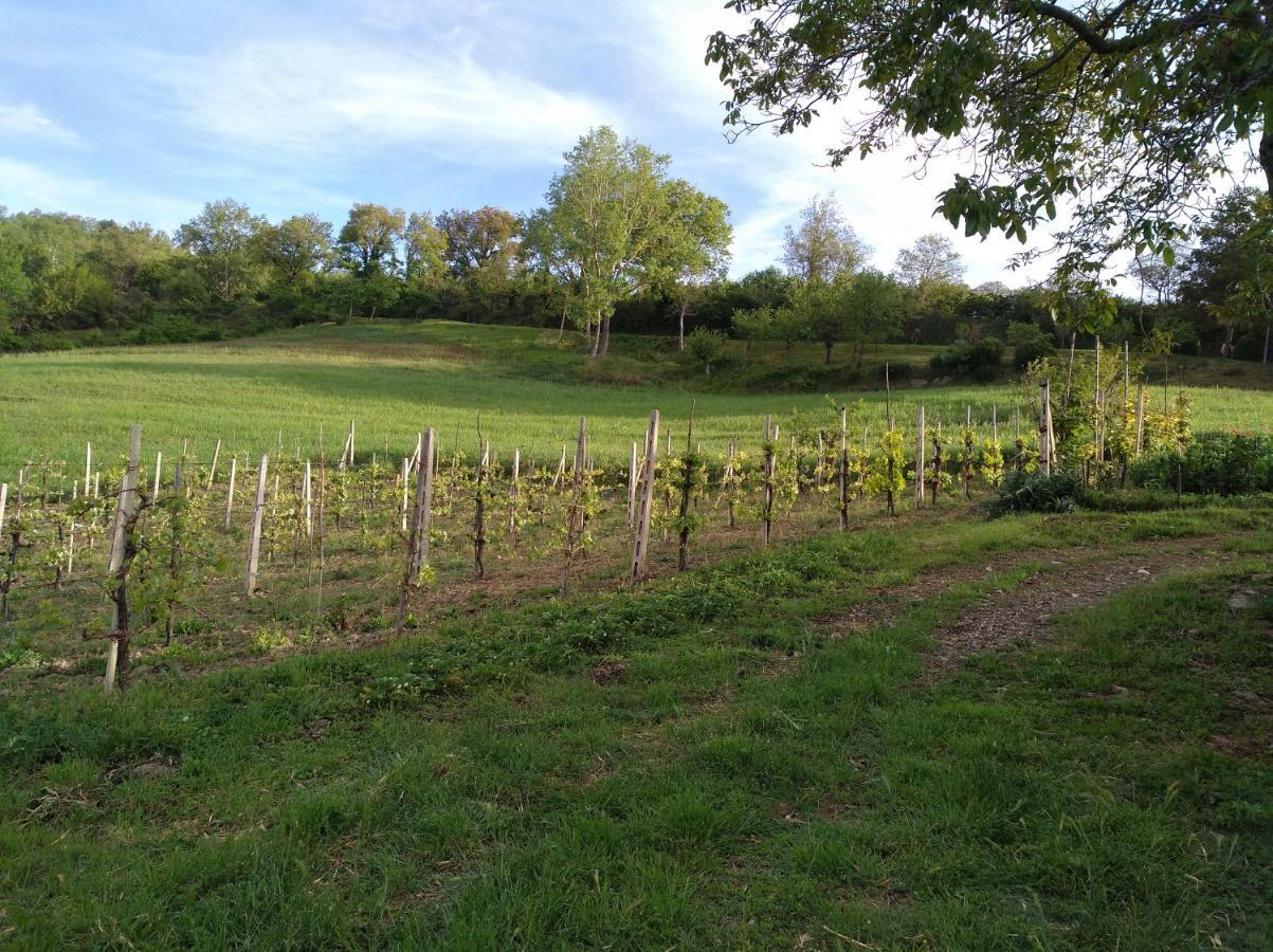 Agriturismo Il Melo Valfabbrica Экстерьер фото